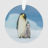 Niedliche Kleintiere | Kaiser Penguin Chick Ornament (Vorderseite)