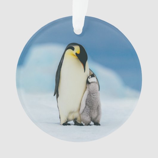Niedliche Kleintiere | Kaiser Penguin Chick Ornament (Vorderseite)