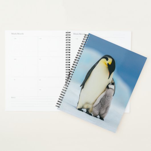 Niedliche Kleintiere | Kaiser Penguin Chick Planer (Anzeige)