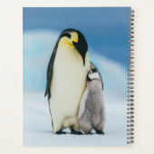 Niedliche Kleintiere | Kaiser Penguin Chick Planer (Rückseite)