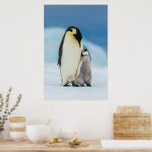Niedliche Kleintiere | Kaiser Penguin Chick Poster (Küche)