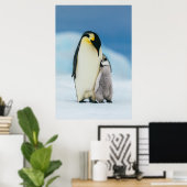 Niedliche Kleintiere | Kaiser Penguin Chick Poster (Heimbüro)