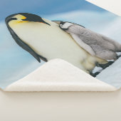 Niedliche Kleintiere | Kaiser Penguin Chick Sherpadecke (3/4)