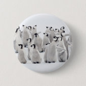 Niedliche Kleintiere | Kaiser Penguin Chicks Button (Vorderseite)