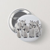 Niedliche Kleintiere | Kaiser Penguin Chicks Button (Vorne & Hinten)