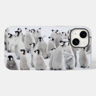 Niedliche Kleintiere   Kaiser Penguin Chicks Case-Mate iPhone 14 Hülle