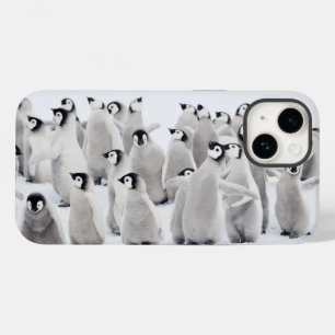 Niedliche Kleintiere Kaiser Penguin Chicks Case-Mate iPhone 14 Hülle
