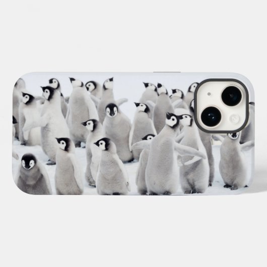 Niedliche Kleintiere | Kaiser Penguin Chicks Case-Mate iPhone Hülle (Rückseite (Horizontal))