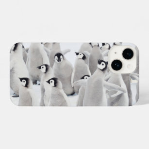 Niedliche Kleintiere   Kaiser Penguin Chicks iPhone 14 Hülle
