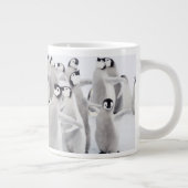 Niedliche Kleintiere | Kaiser Penguin Chicks Jumbo-Tasse (Rechts)