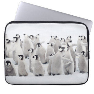 Niedliche Kleintiere   Kaiser Penguin Chicks Laptopschutzhülle