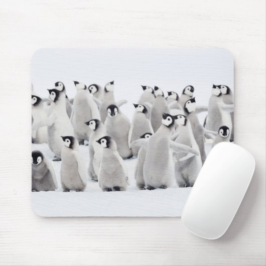 Niedliche Kleintiere | Kaiser Penguin Chicks Mousepad (Mit Mouse)