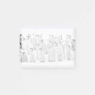 Niedliche Kleintiere   Kaiser Penguin Chicks Post-it Klebezettel
