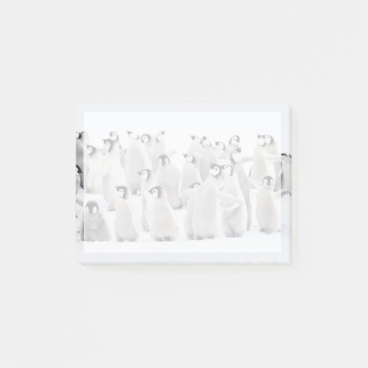 Niedliche Kleintiere | Kaiser Penguin Chicks Post-it Klebezettel (Vorderseite)