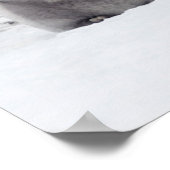 Niedliche Kleintiere | Kaiser Penguin Chicks Poster (Ecke)