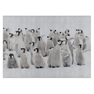 Niedliche Kleintiere   Kaiser Penguin Chicks Schneidebrett