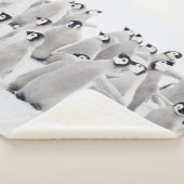 Niedliche Kleintiere | Kaiser Penguin Chicks Sherpadecke (3/4)