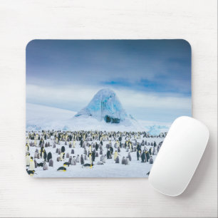 Niedliche Kleintiere   Kaiser-Pinguin-Kolonie Mousepad