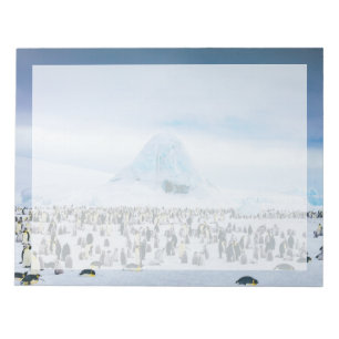 Niedliche Kleintiere   Kaiser-Pinguin-Kolonie Notizblock