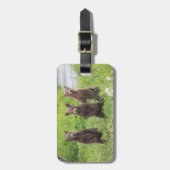 Niedliche Kleintiere | Kamchatka Brown Bear Cubs Gepäckanhänger (Vorderseite vertikal)