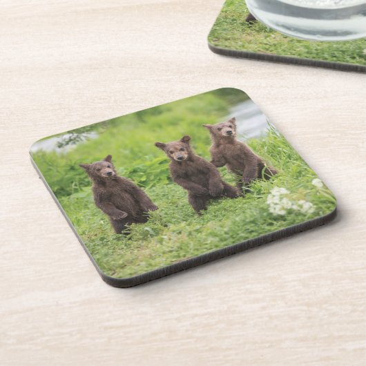 Niedliche Kleintiere | Kamchatka Brown Bear Cubs Getränkeuntersetzer (Linke Seite)