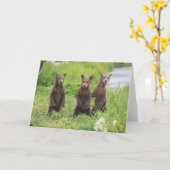 Niedliche Kleintiere | Kamchatka Brown Bear Cubs Karte (Gelbe Blume)
