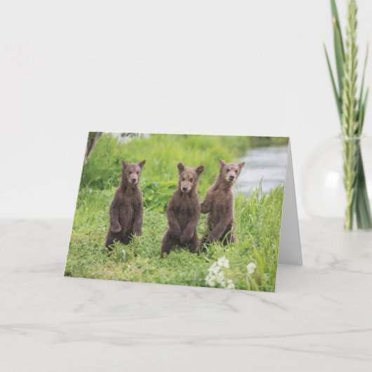 Niedliche Kleintiere | Kamchatka Brown Bear Cubs Karte (Vorderseite)