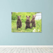 Niedliche Kleintiere | Kamchatka Brown Bear Cubs Leinwanddruck (Insitu (Holzboden))