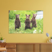 Niedliche Kleintiere | Kamchatka Brown Bear Cubs Leinwanddruck (Insitu (Wohnzimmer))