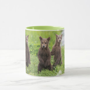 Niedliche Kleintiere   Kamchatka Brown Bear Cubs Tasse
