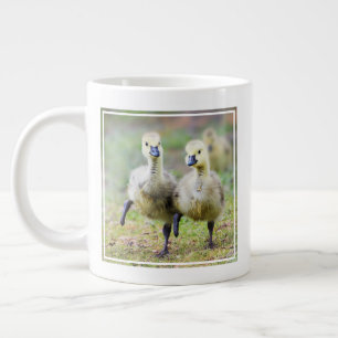 Niedliche Kleintiere Kanadische Gänse Jumbo-Tasse