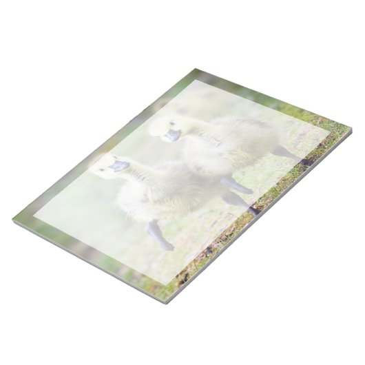 Niedliche Kleintiere | Kanadische Gänse Notizblock (angewinkelt)