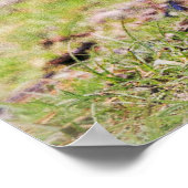 Niedliche Kleintiere | Kanadische Gänse Poster (Ecke)