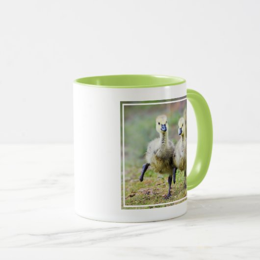 Niedliche Kleintiere | Kanadische Gänse Tasse (VorderseiteRechts)