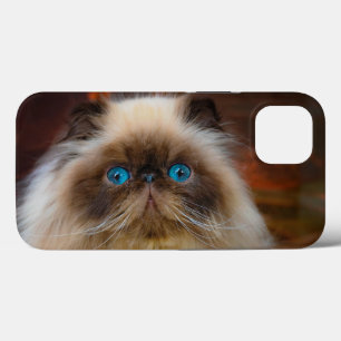 Niedliche Kleintiere Kat Case-Mate iPhone Hülle