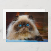 Niedliche Kleintiere | Kat Dankeskarte (Vorne/Hinten)