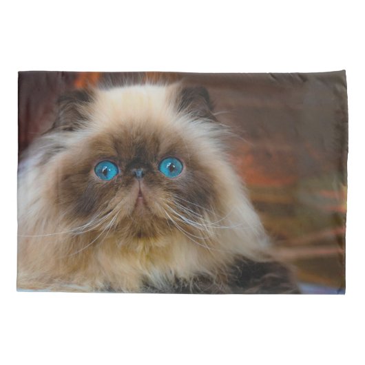 Niedliche Kleintiere | Kat Kissenbezug (Rückseite)