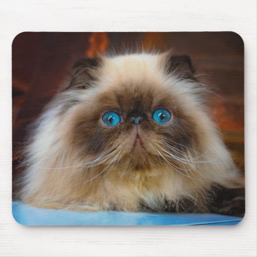 Niedliche Kleintiere | Kat Mousepad (Vorne)