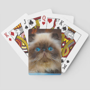 Niedliche Kleintiere Kat Spielkarten