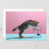 Niedliche Kleintiere | Kätzchen Blick auf Fischsch Dankeskarte (Vorne/Hinten)
