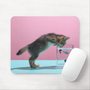 Niedliche Kleintiere   Kätzchen Blick auf Fischsch Mousepad
