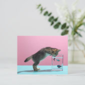 Niedliche Kleintiere | Kätzchen Blick auf Fischsch Postkarte (Stehend Vorderseite)