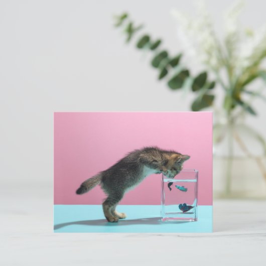 Niedliche Kleintiere | Kätzchen Blick auf Fischsch Postkarte (Stehend Vorderseite)