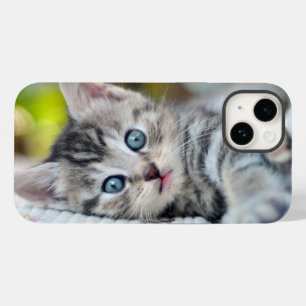 Niedliche Kleintiere   Kätzchen mit blauen Augen Case-Mate iPhone 14 Hülle