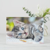 Niedliche Kleintiere | Kätzchen mit blauen Augen Dankeskarte (Stehend Vorderseite)