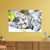 Niedliche Kleintiere | Kätzchen mit blauen Augen Leinwanddruck (Insitu (Wohnzimmer))