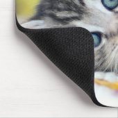 Niedliche Kleintiere | Kätzchen mit blauen Augen Mousepad (Ecke)