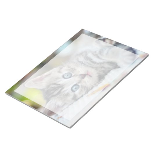 Niedliche Kleintiere | Kätzchen mit blauen Augen Notizblock (angewinkelt)