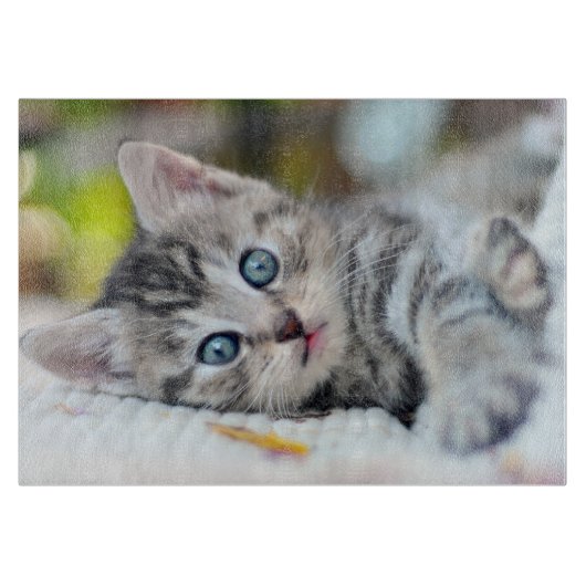 Niedliche Kleintiere | Kätzchen mit blauen Augen Schneidebrett (Vorderseite)