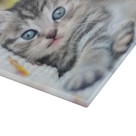 Niedliche Kleintiere | Kätzchen mit blauen Augen Schneidebrett (Ecke)